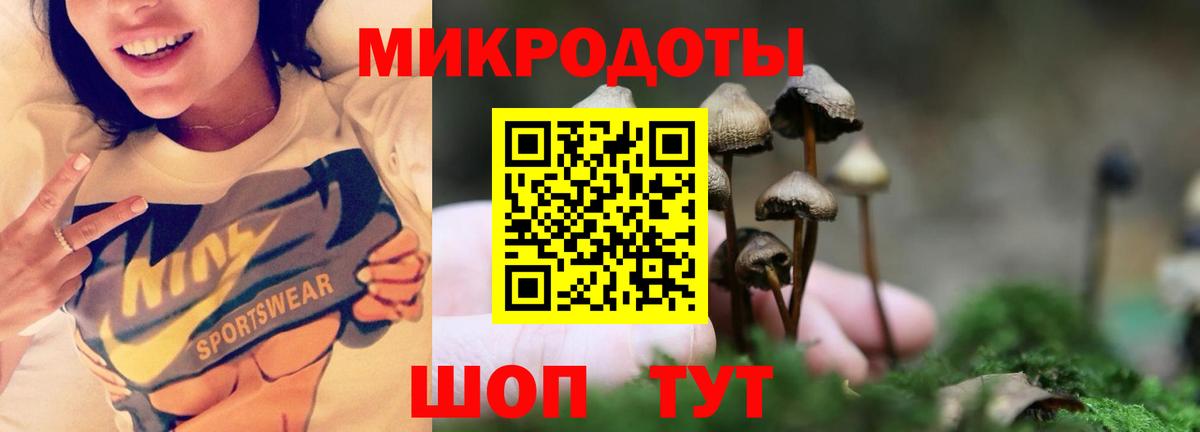 где купить наркоту  Вход с VPN  Луга  Галлюциногенные грибы ЛСД 